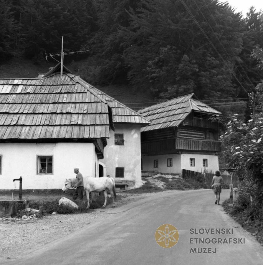 Апартаменти Hisa Grilc Кранська Гора Екстер'єр фото